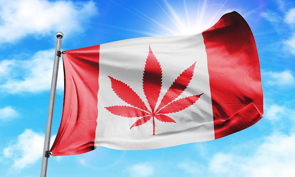 カナダ政府、2022年の国内大麻調査の結果を公開-