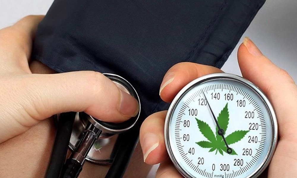 医療大麻と高血圧・循環器疾患