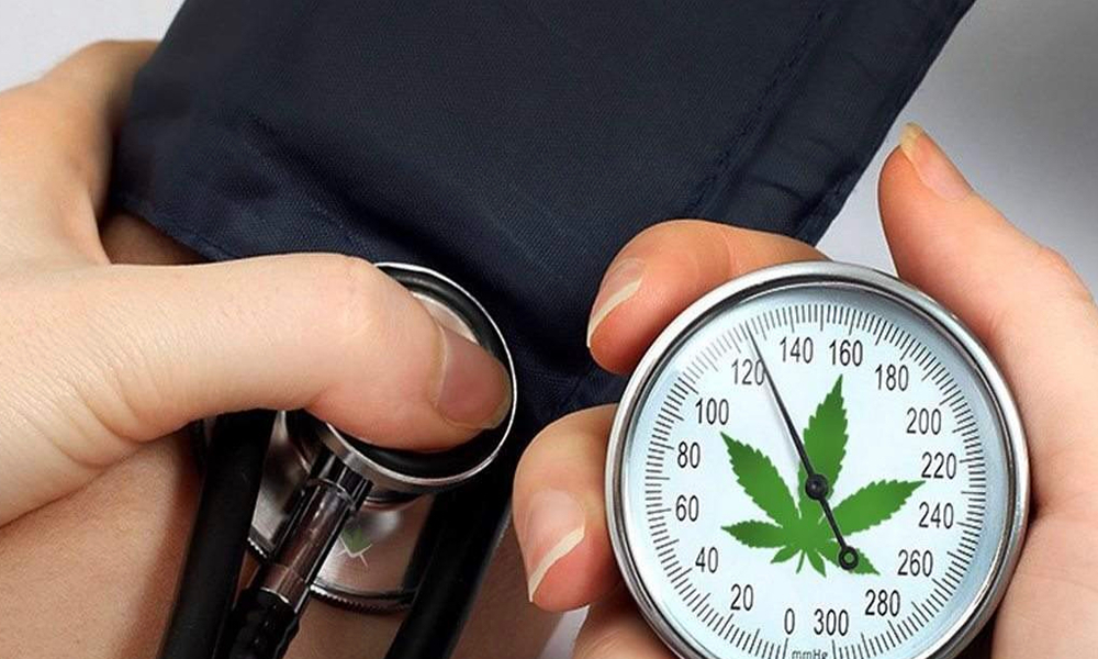  医療大麻と高血圧・循環器疾患